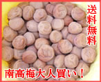 無添加　紀州南高梅の一年分　大人買い無添加梅